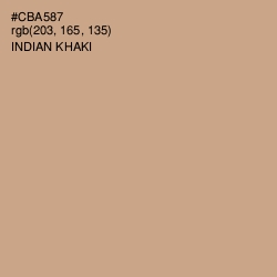 #CBA587 - Indian Khaki Color Image